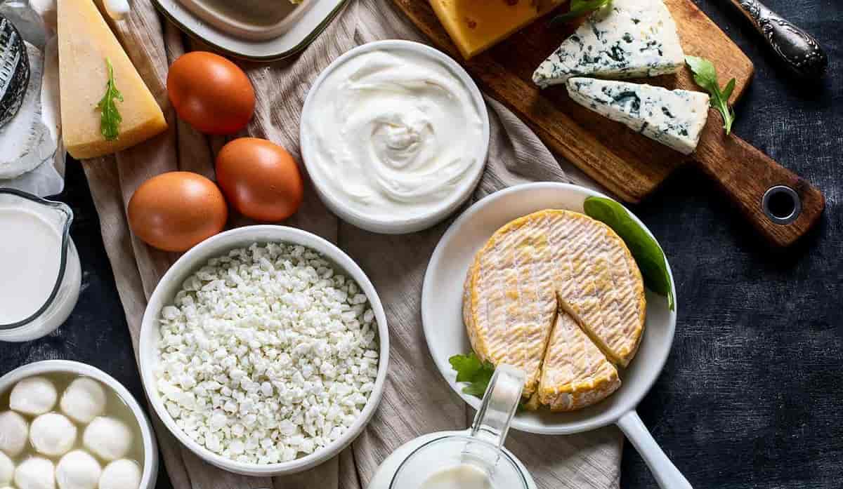 Dairy Products