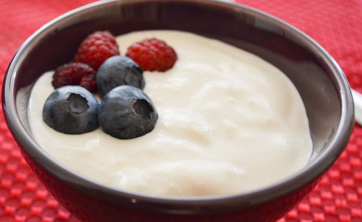 Yogurt